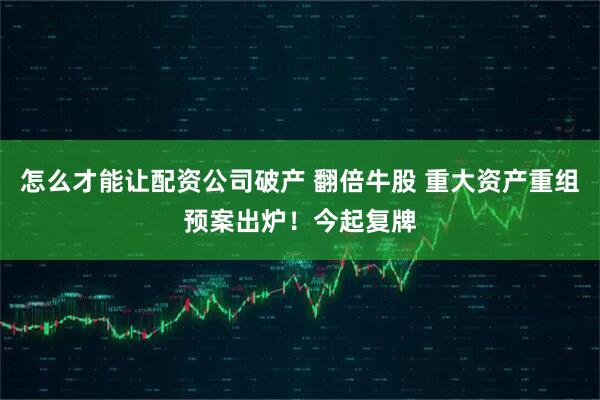 怎么才能让配资公司破产 翻倍牛股 重大资产重组预案出炉！今起复牌